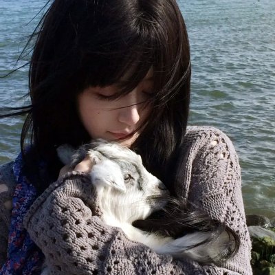 女主播风云